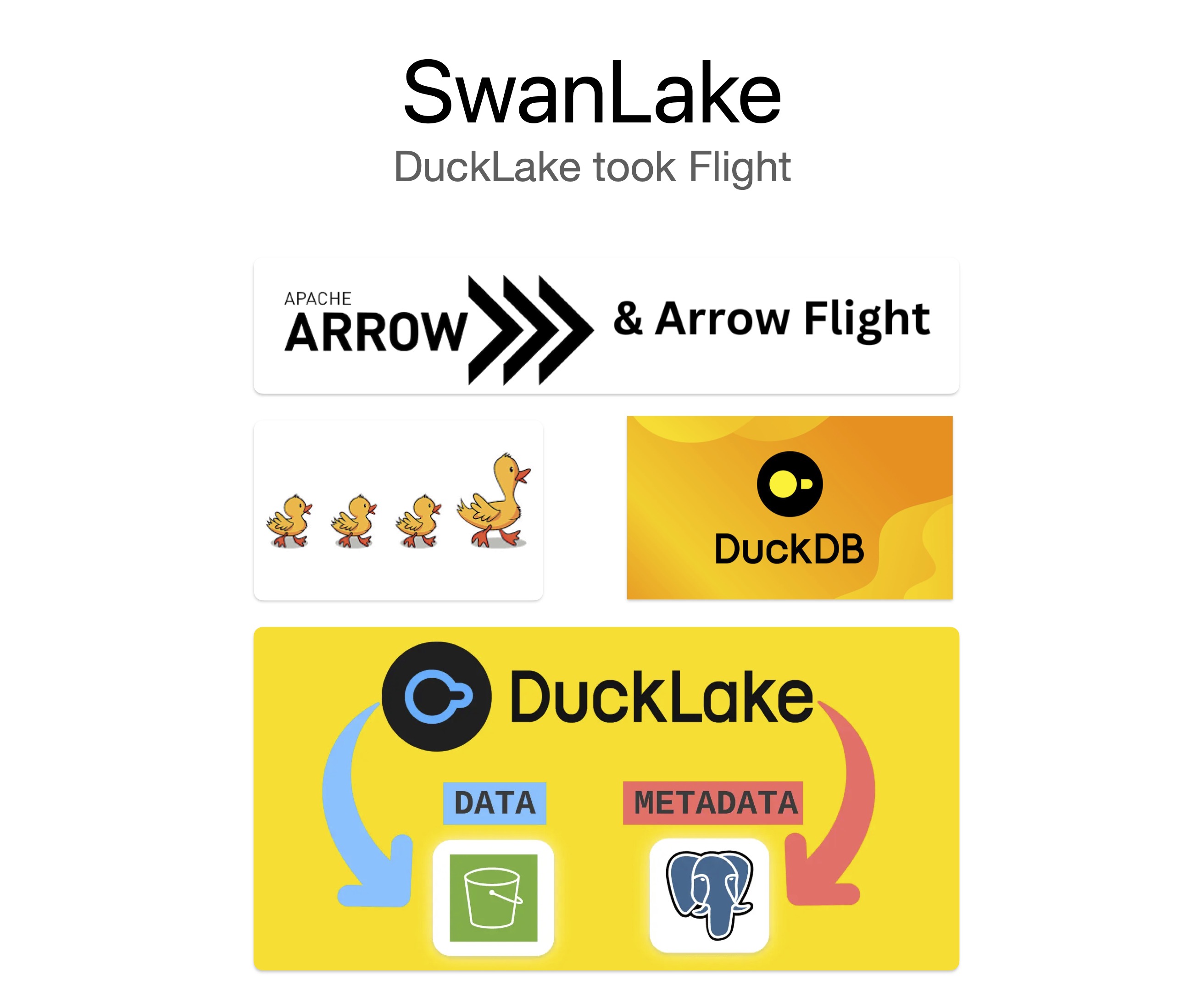 SwanLake 项目示意图